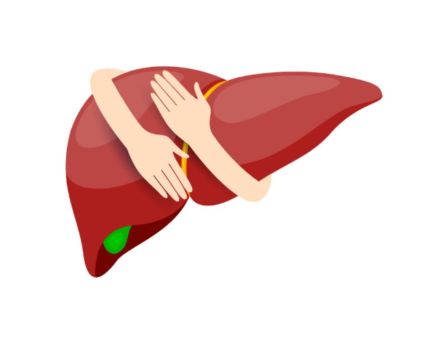 Decoding SGPT: Your Personal Guide to Liver Health Maintenance