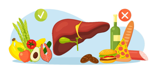 Fatty Liver Diet: Your Comprehensive Guide on Foods to Savour and Sidestep